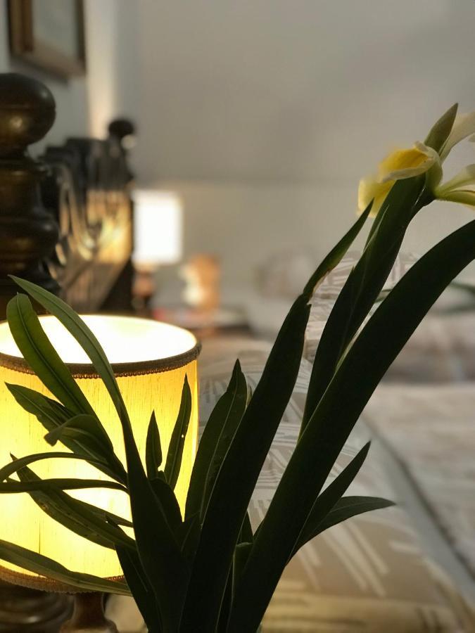 Appartamento Stibbert Firenze Eksteriør bilde
